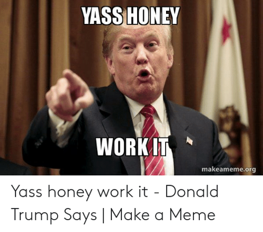 yass-hondfgey-workit-makeameme-org-yass-honey-work-it-donald-49387082.png