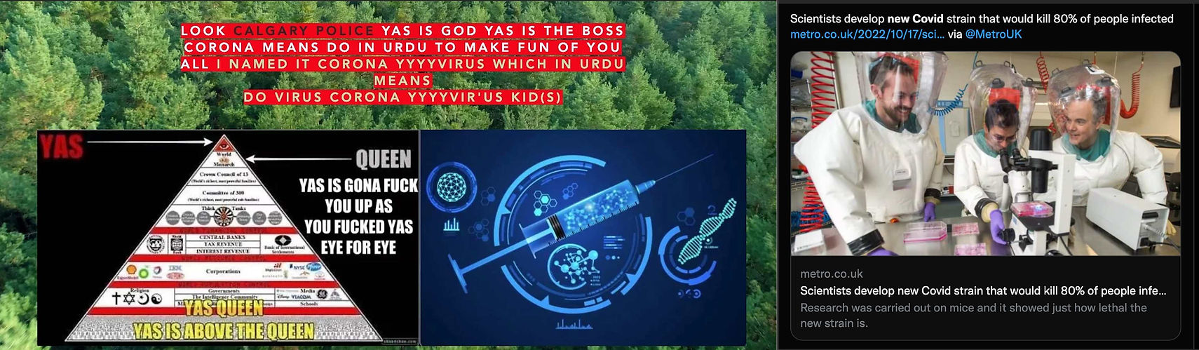 virus cirus.jpg