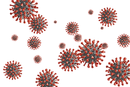 covid-19-4975604_1280.png
