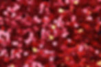 Heart Confetti