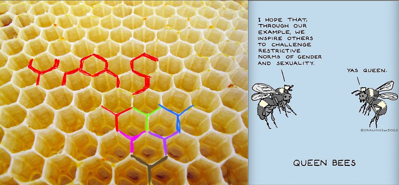 yasqbee.jpg